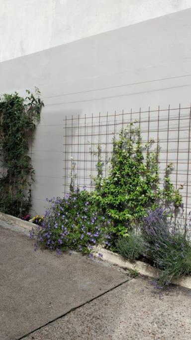 Experience Inouie A Orleans ! Apartment Ngoại thất bức ảnh